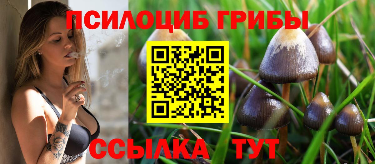 Галлюциногенные грибы Psilocybe  Вход с VPN  Краснодар 